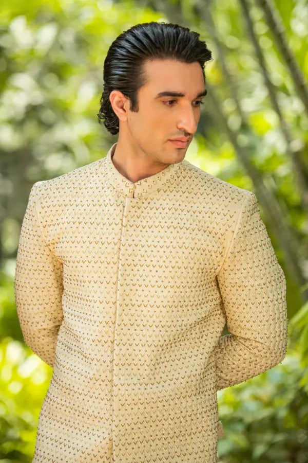 Cream Handwork Embroidered Prince Coat with Classic Pant Secondary image